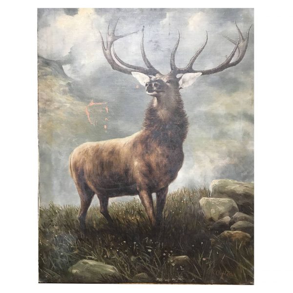 Pair of Antique Deer Paintings by R.Clifton