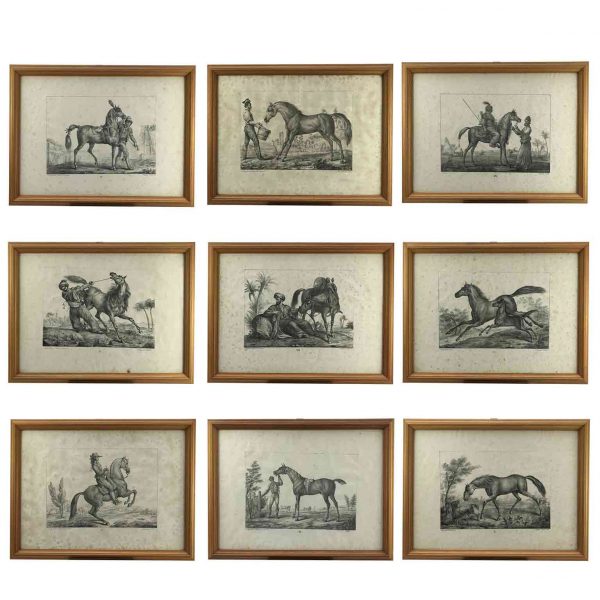 European Horse Breeds Nine Lithographs by Italian Giarrè Luigi 1822 Firenze