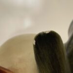 felice tosalli tuffetti coppia di uccelli della stessa specie della manifattura lenci torino 1939 f