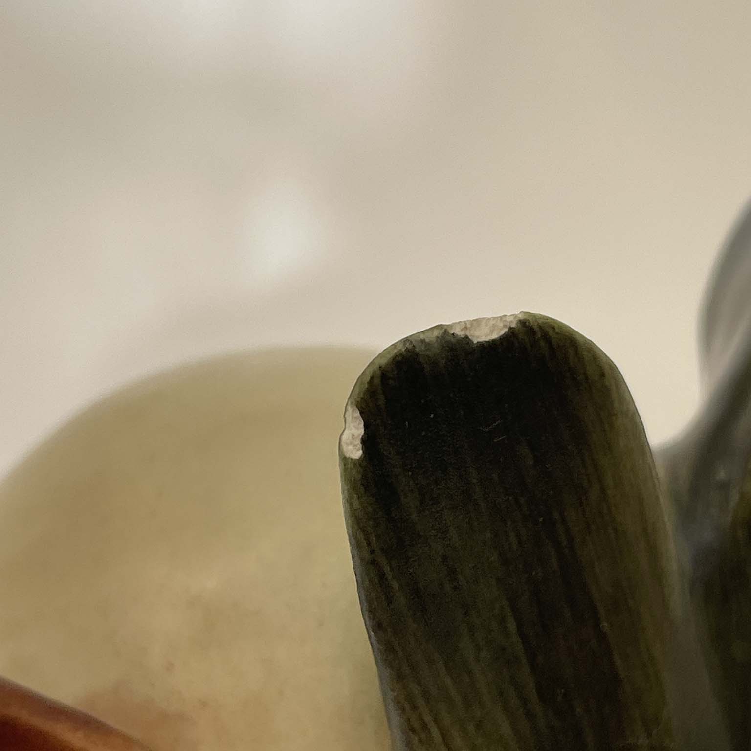 felice tosalli tuffetti coppia di uccelli della stessa specie della manifattura lenci torino 1939 f