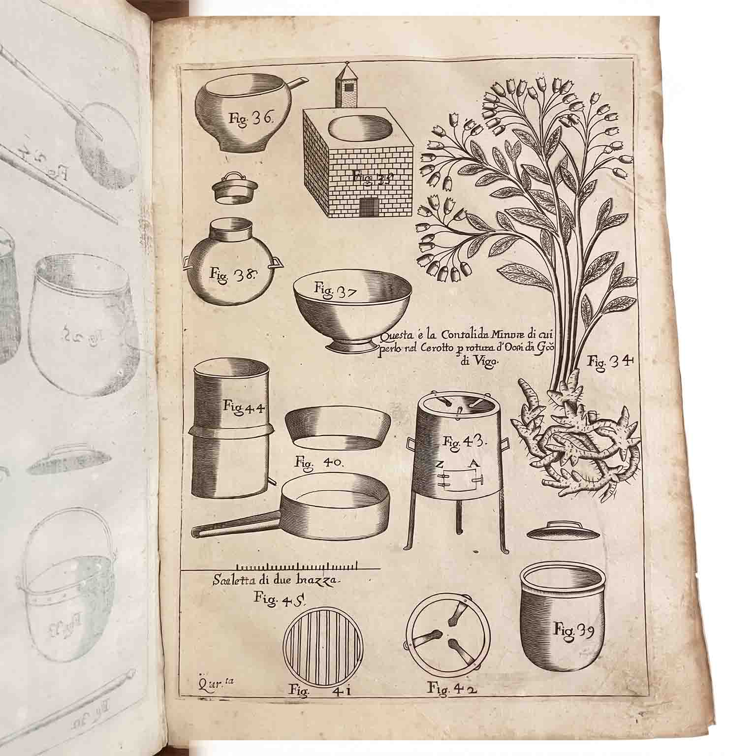 libro antico l’arte dello spetiale di francesco sirena a venezia 1680 a